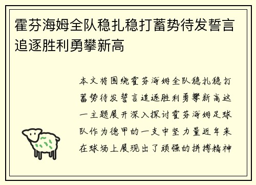 霍芬海姆全队稳扎稳打蓄势待发誓言追逐胜利勇攀新高